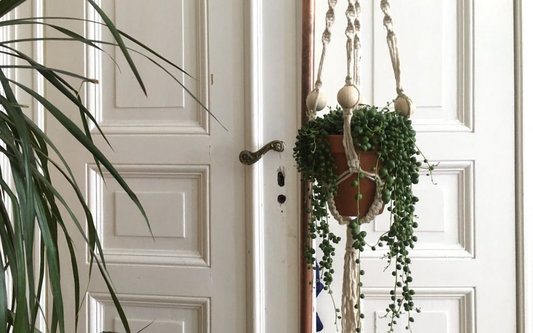 DIY Makramee-Blumenampel – Video Tutorial für Anfänger