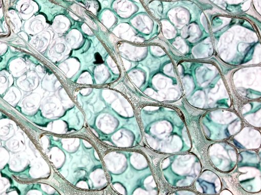 Modulor x ArtConnect Open Call: Interview mit Gewinnerin Scarlett Yang