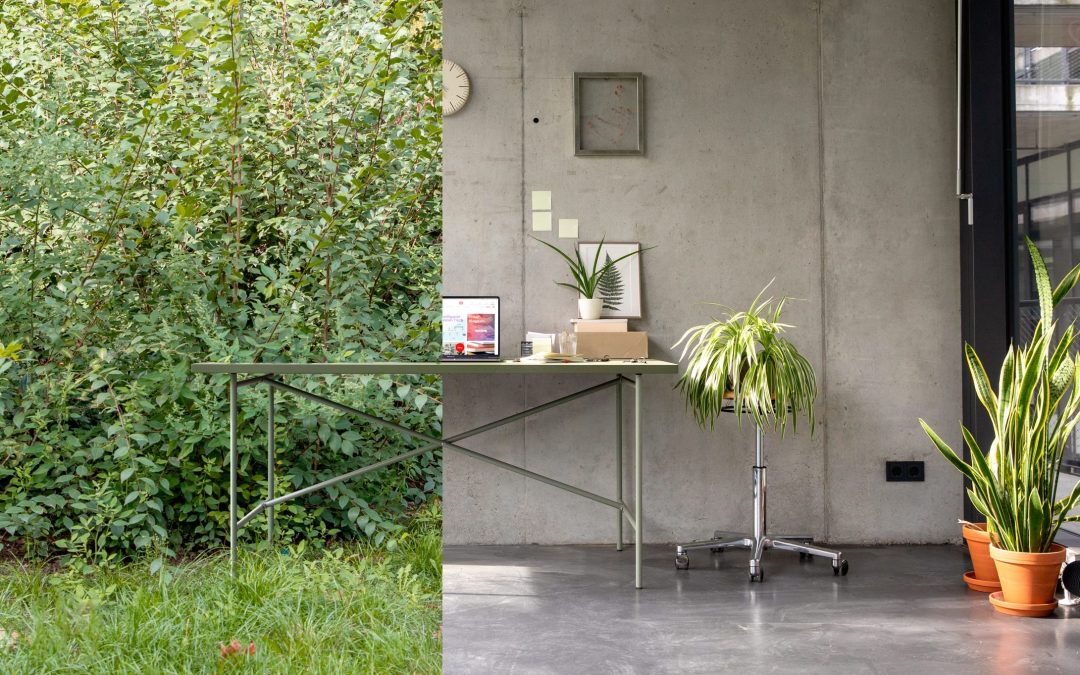 E2 Modulor Sonderedition 4184: Es grünt so grün